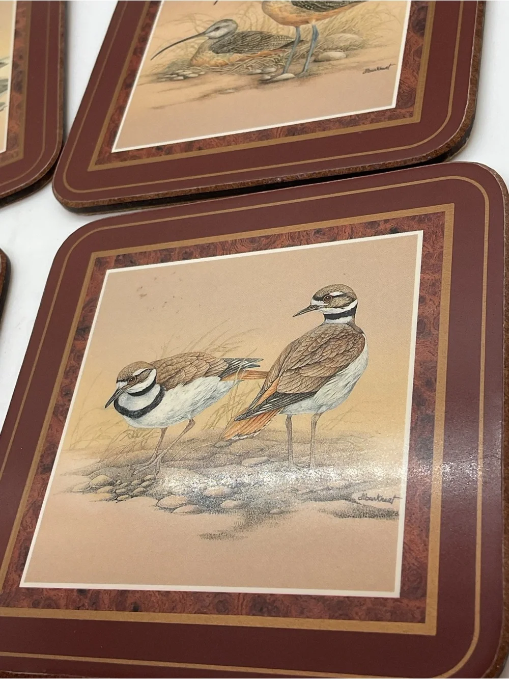 Pimpernel Brown and Tan Bird Coasters Set of 4